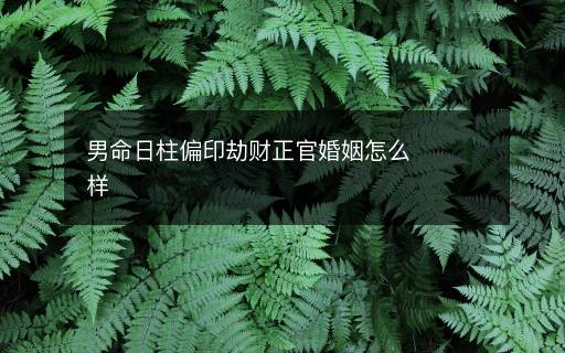 男命日柱偏印劫財(cái)正官婚姻怎么樣