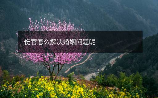 傷官怎么解決婚姻問題呢