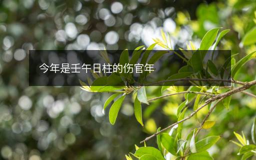 今年是壬午日柱的傷官年