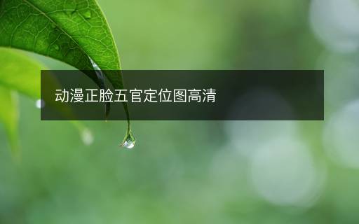 動(dòng)漫正臉五官定位圖高清