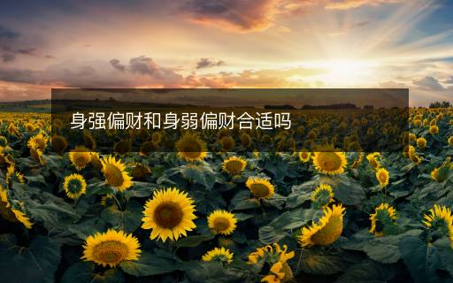 身強偏財和身弱偏財合適嗎