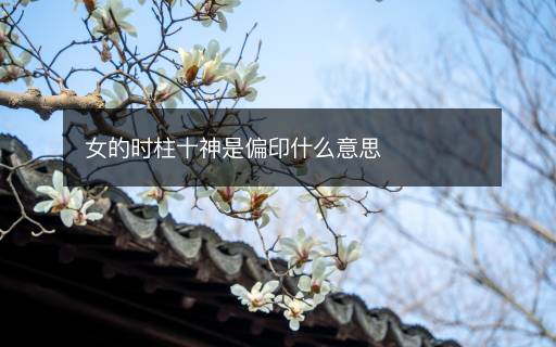 女的時(shí)柱十神是偏印什么意思