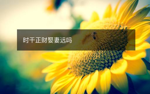 時干正財(cái)娶妻遠(yuǎn)嗎