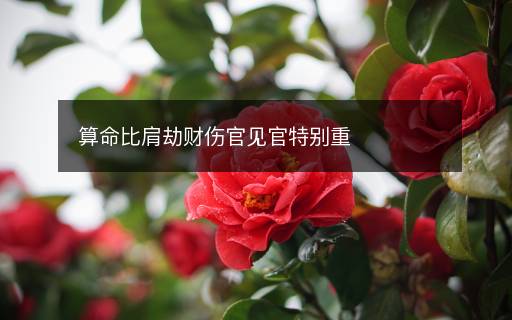 算命比肩劫財傷官見官特別重