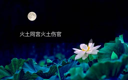 火土同宮火土傷官