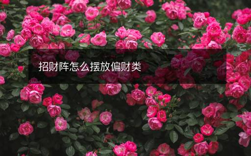 招財(cái)陣怎么擺放偏財(cái)類