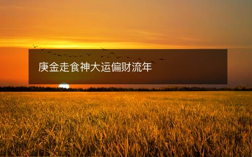 庚金走食神大運偏財流年
