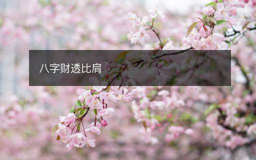 八字財透比肩