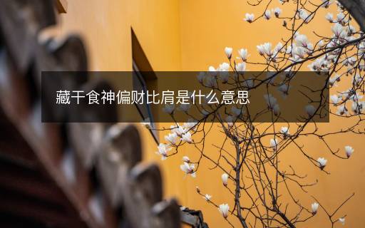 藏干食神偏財(cái)比肩是什么意思