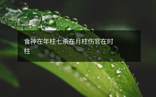 食神在年柱七殺在月柱傷官在時柱