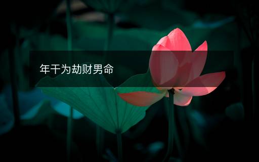 年干為劫財(cái)男命