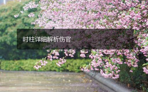 時(shí)柱詳細(xì)解析傷官