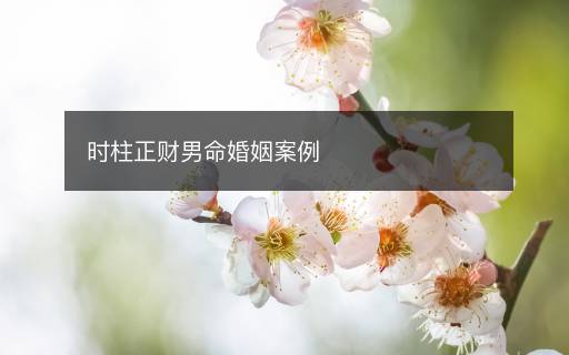 時柱正財男命婚姻案例
