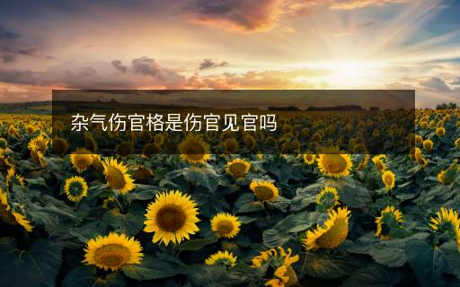 雜氣傷官格是傷官見官嗎
