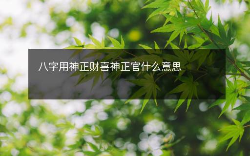 八字用神正財(cái)喜神正官什么意思
