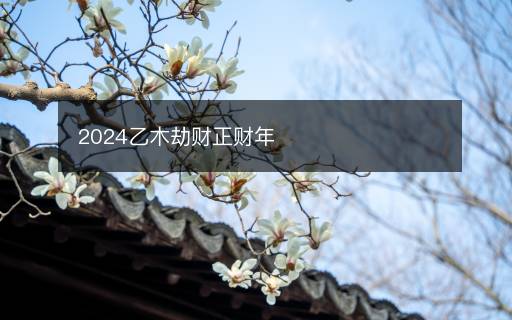 2024乙木劫財(cái)正財(cái)年