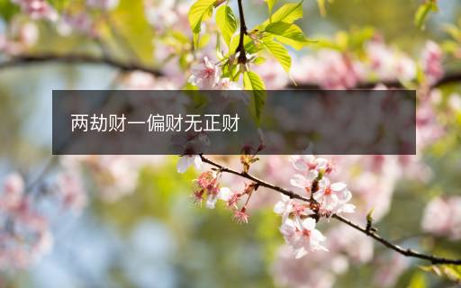 兩劫財一偏財無正財
