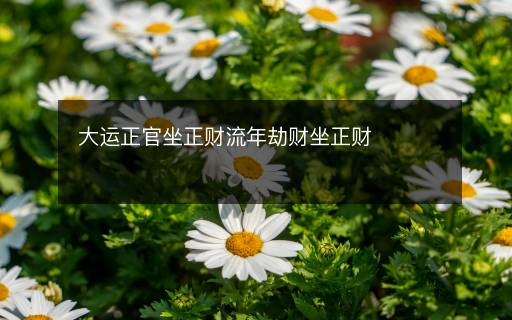 大運(yùn)正官坐正財(cái)流年劫財(cái)坐正財(cái)