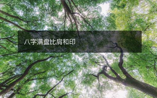 八字滿盤比肩和印