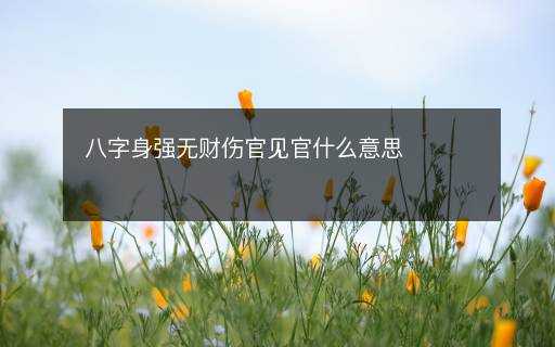 八字身強(qiáng)無(wú)財(cái)傷官見(jiàn)官什么意思