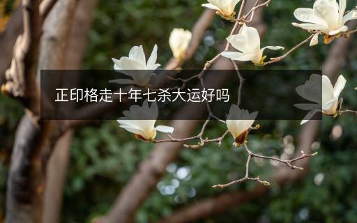 正印格走十年七殺大運好嗎