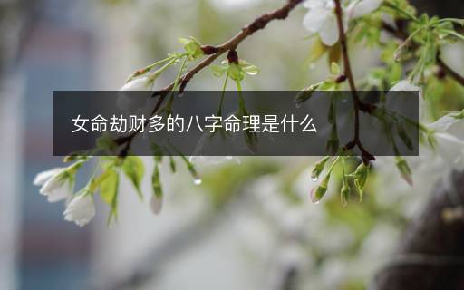 女命劫財(cái)多的八字命理是什么