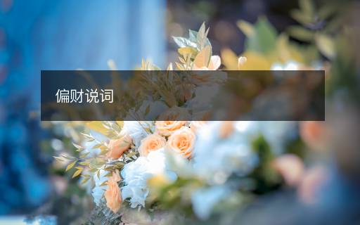 偏財說詞
