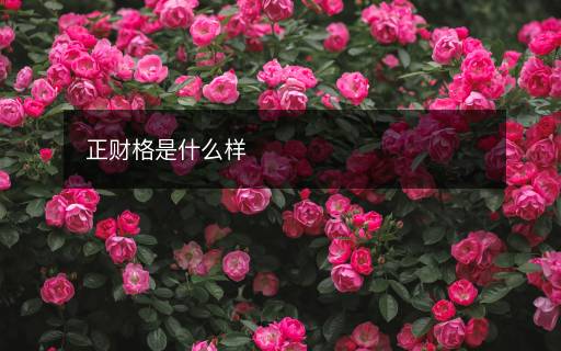 正財格是什么樣