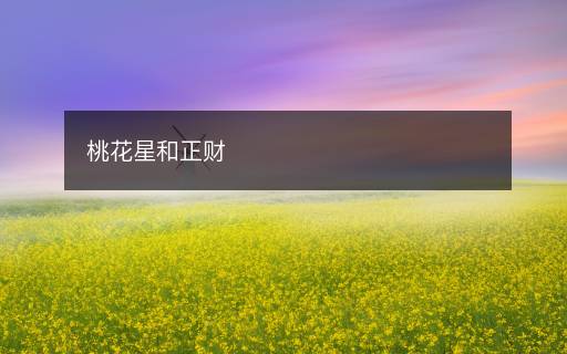桃花星和正財(cái)