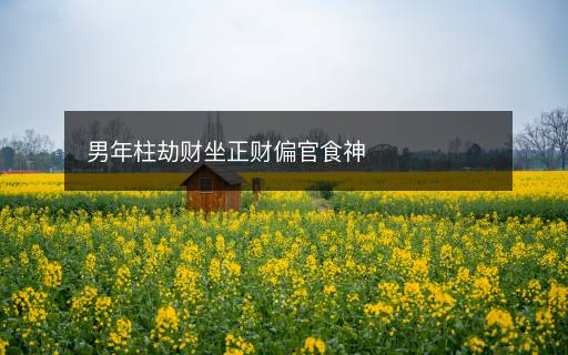 男年柱劫財(cái)坐正財(cái)偏官食神