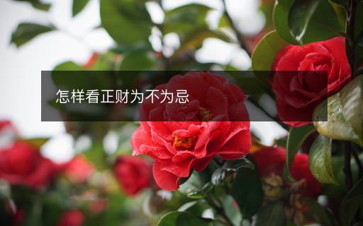 怎樣看正財為不為忌