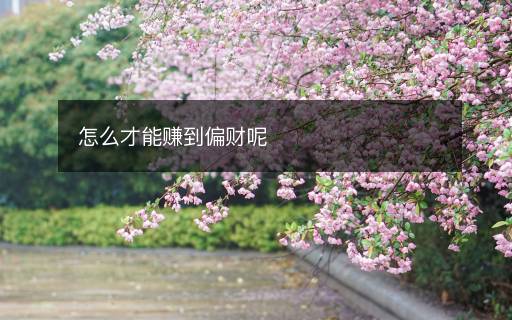 怎么才能賺到偏財呢