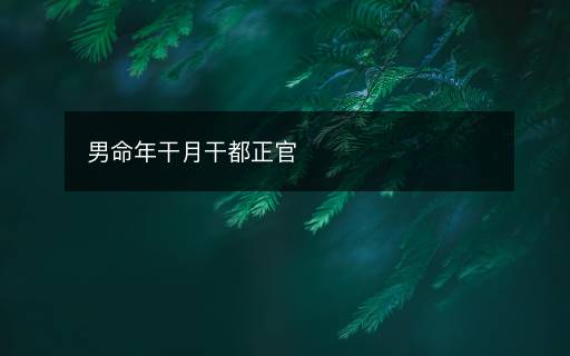 男命年干月干都正官
