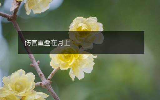 傷官重疊在月上