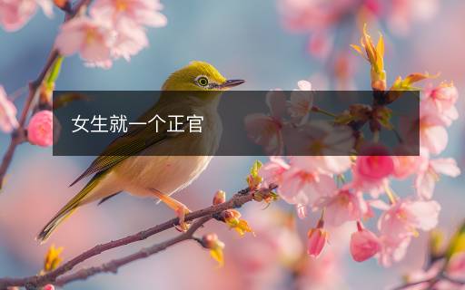 女生就一個正官