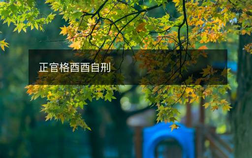 正官格酉酉自刑