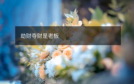 劫財(cái)奪財(cái)是老板