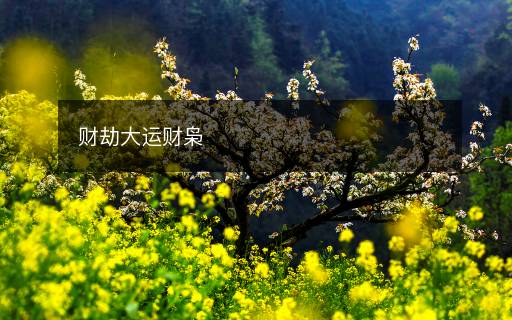 財(cái)劫大運(yùn)財(cái)梟