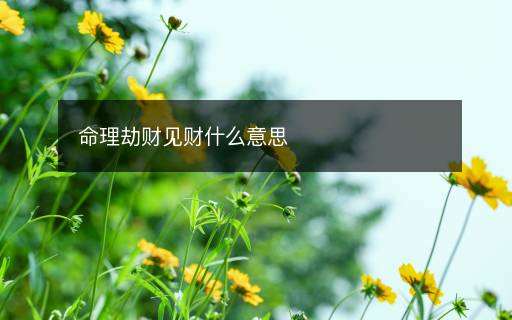 命理劫財(cái)見(jiàn)財(cái)什么意思
