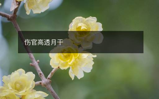 傷官高透月干