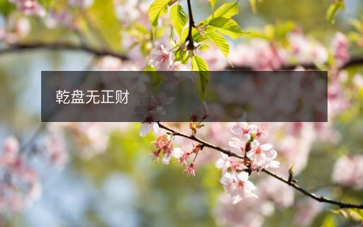 乾盤(pán)無(wú)正財(cái)