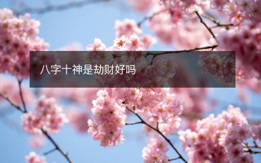 八字十神是劫財好嗎