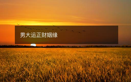 男大運(yùn)正財(cái)姻緣