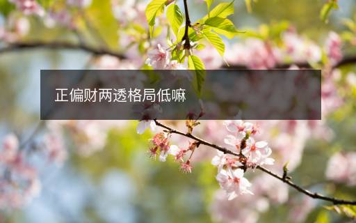 正偏財(cái)兩透格局低嘛