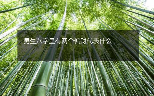 男生八字里有兩個偏財代表什么