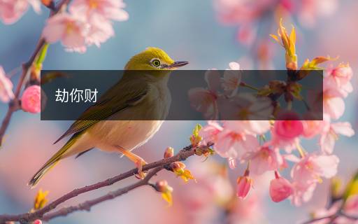 劫你財(cái)