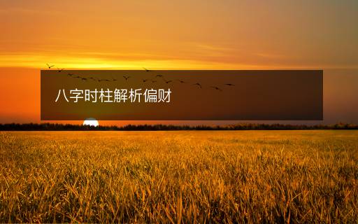 八字時(shí)柱解析偏財(cái)