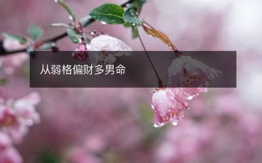 從弱格偏財多男命