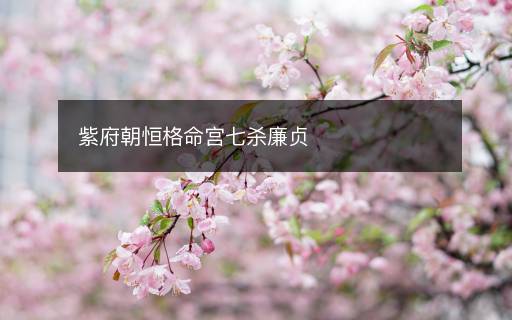 紫府朝恒格命宮七殺廉貞