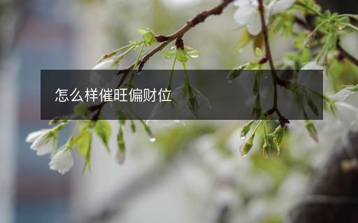 怎么樣催旺偏財(cái)位